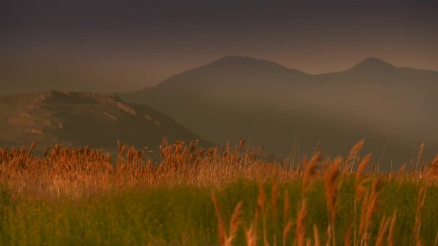 Amazing shot of wetlands grasses with mountains in background.  Flock of birds flies through.