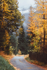 Funes Valley, near Santa Magdalena, during autumn. Dolomites, South Tyrol, Italy