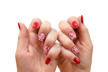 Female hands with manicure on a white background