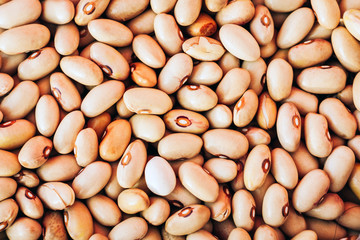 Beans background (Phaseolus) – food for veggies