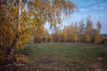 Obraz premium Indian summer.