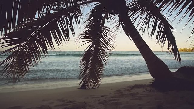 Sunset on tropical beach. Relaxing under the palm tree in Las Galeras in Dominican Republic.