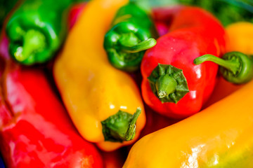 Summer harvest. Freshly picked, red, green and yellow sweet peppers, laying in grass in garden. Healthy eating, fresh food, vegetables, vitamins, diet, fitness. Making fresh salads for dinner. Tasty