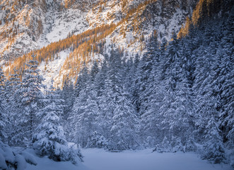 Sesto Dolomites, South Tyrol, Italy