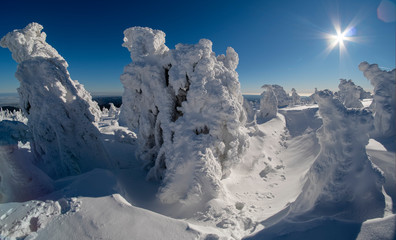 Fototapeta na wymiar Brocken Harz Winter Skulpturen