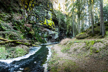 Zidova strouha - stream in Czech Republic.