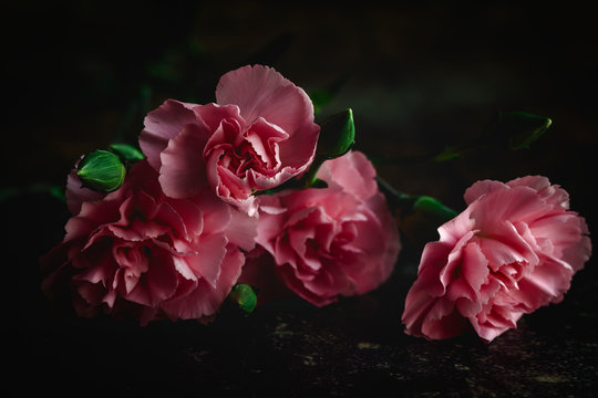 bouquet of pink carnations flowers