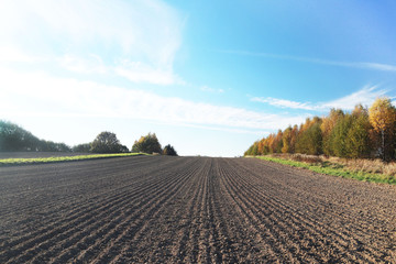 The furrows of the plowed field at the edge of the forest. Free soil for planting crops....