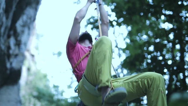 male climber climbs up the rope along the cliff on the tree background