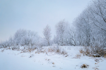 beautiful winter landscape
