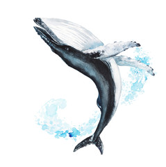 Watercolor hand-drawn humpback whale illustration - jumping up from the foamy ocean wave, playful, happy mammal. Character, logo, children wallpaper, doodle. Marine clip art. Ocean, sea inhabitant. © Veris Studio