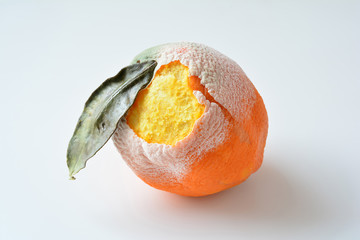 Rotten orange with dry leaf