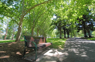 Fototapeta premium Carlton garden Melbourne Australia