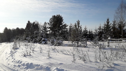 Морозный день © olgakondratieva