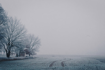Frozen