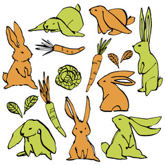 Collection of some cute rabbits, hand draw illustration. Draw vector illustration set character design of cute rabbit.
