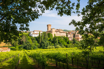 Fototapeta na wymiar Levizzano Rangone with some wineyards on the foreground during springtiime. Castelvetro Rangone, Modena, Emilia Romagna, Italy