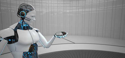 Humanoid Robot Compass © Alexander Limbach