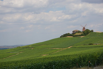 Champagne landscape windmill