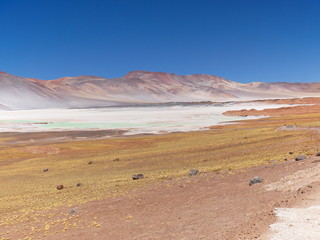 Lagunas altiplanica in the desert of Atacama, Chile.