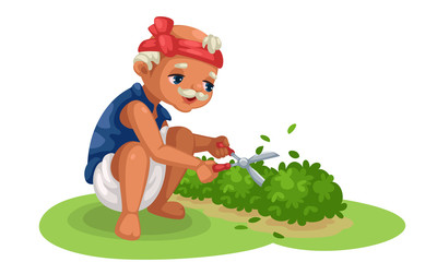 Cute old gardener cutting the bushes