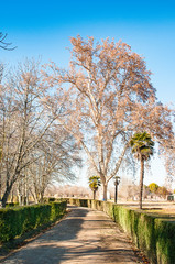 Aranjuez gardens next to the Tagus river in Spain