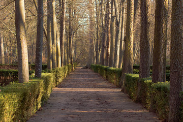 Aranjuez gardens next to the Tagus river in Spain