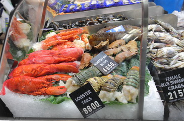Seafood shopping Australia - 245130468