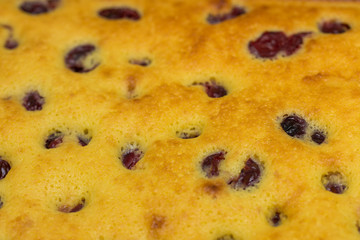 Yellow Homemade cake with cherries