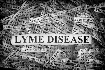 Torn pieces of paper with the words Lyme Disease