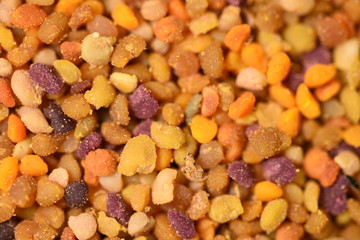  pile of bee pollen 