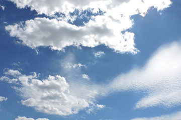 White clouds in the blue sky - obrazy, fototapety, plakaty