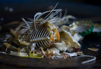 The graveyard of sunken carp