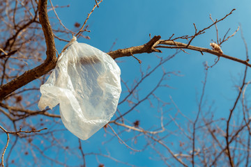 White plastic bag on tree