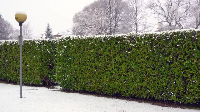 Italia sotto la neve
