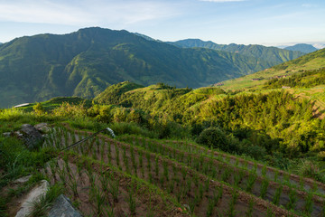 Fototapeta na wymiar Longsheng rice terraces landscape in Guilin China
