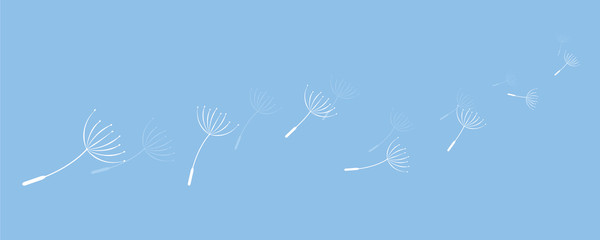 Fototapeta na wymiar dandelion seeds flying in the wind on blue background vector illustration EPS10