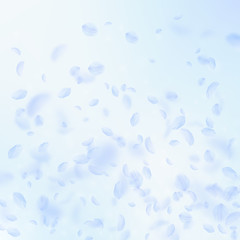 Light blue flower petals falling down. Likable rom