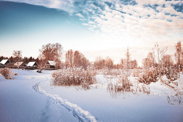 landscape in winter