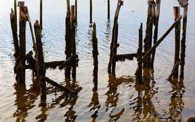 Old wood pilings ruins at Wiscasset Maine