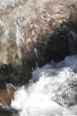 acqua