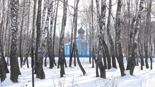 blue church in birch grove in winter.