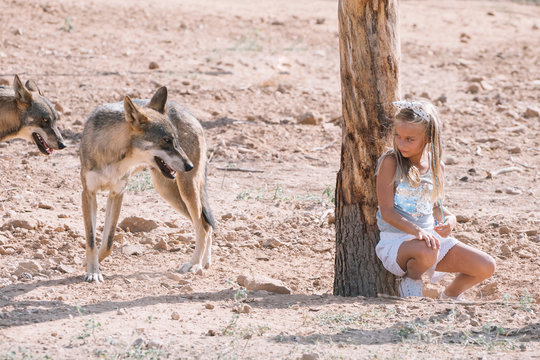 Little blonde girl with wolf in zoo