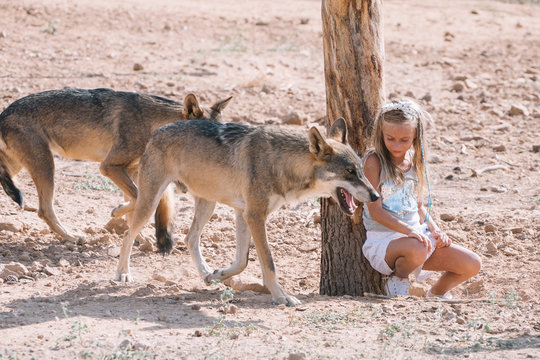 Little blonde girl with wolf in zoo