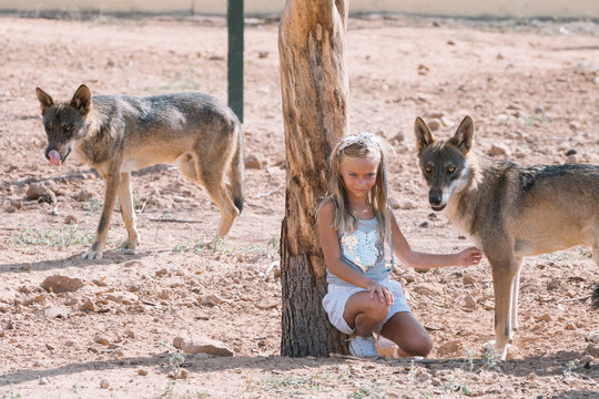 Little blonde girl with wolf in zoo