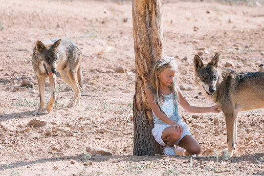 Little blonde girl with wolf in zoo