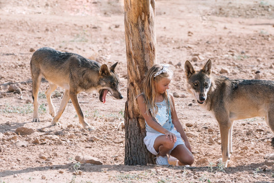 Little blonde girl with wolf in zoo
