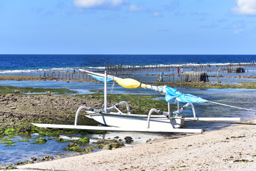 Traditional indonesia style fishing boats on the sohre during the lowtide, Nusa Penida Island, Bali, Indonesia