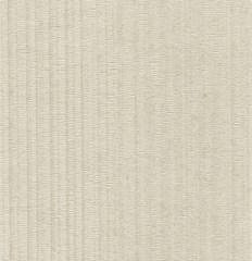 Paper large striped texture. Light gray. High detail.