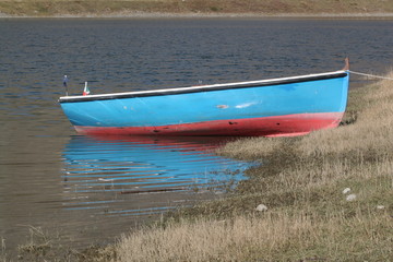 barche